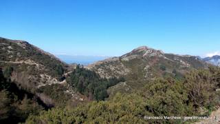nte Scuderi-23-11-2014 09-47-58